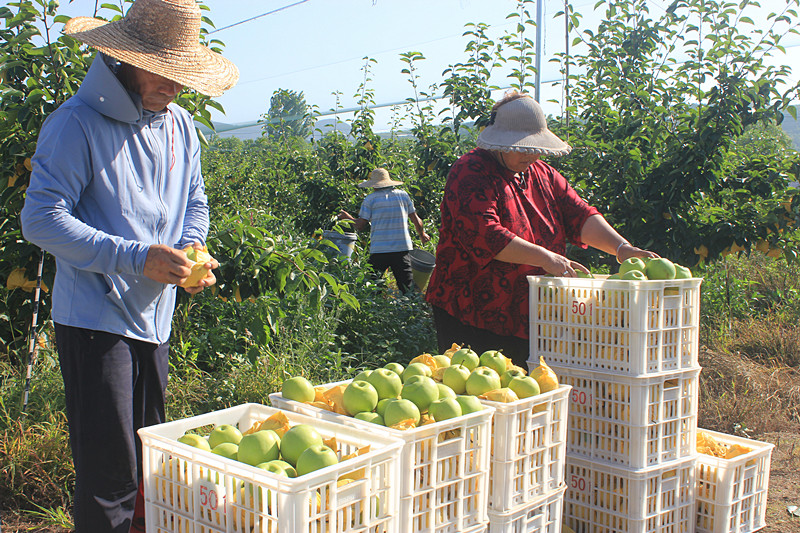 ��ó������Ѕ^(q��)ǰ�����@�����@���������ˣ�