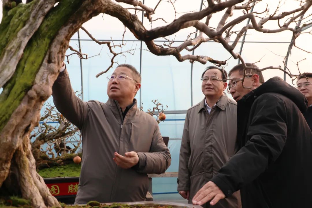 ���f��ί����ӛ������ί��ӛ�����ށ�F�ǅ^(q��)�{(di��o)��ʯ��a(ch��n)�I(y��)�l(f��)չ����